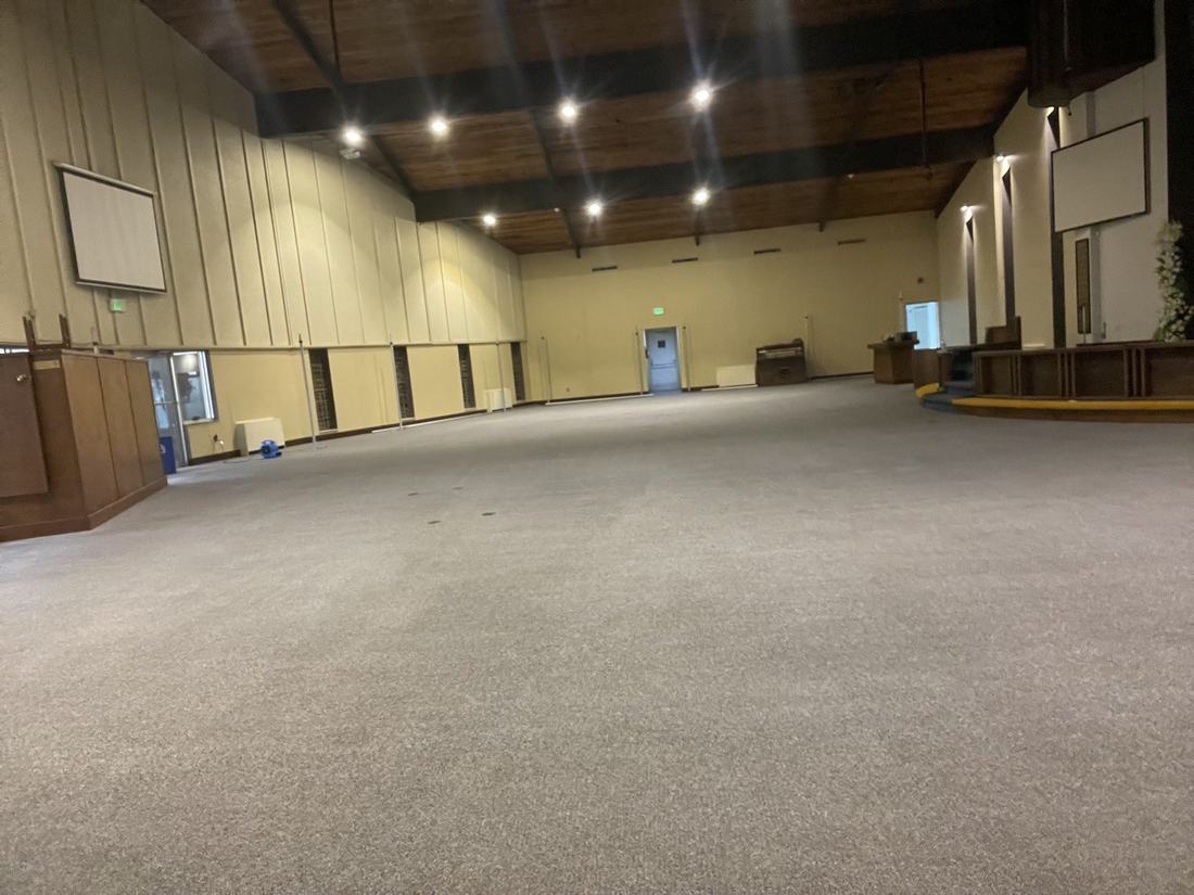 Sanctuary carpet after steam cleaning
