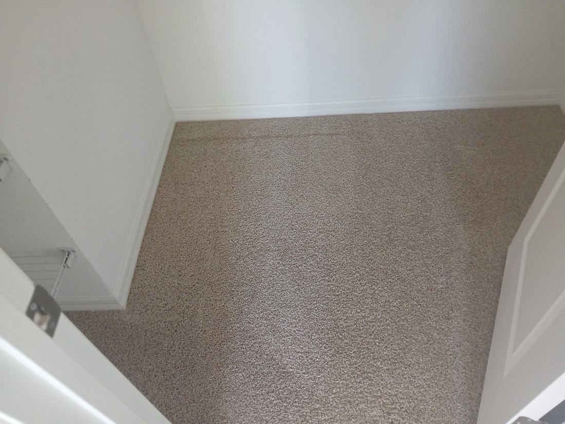 Pet odor & stains
