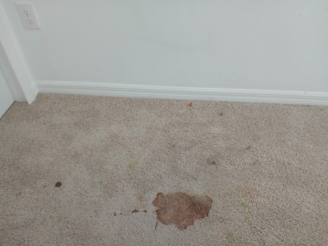 Spot & stain before